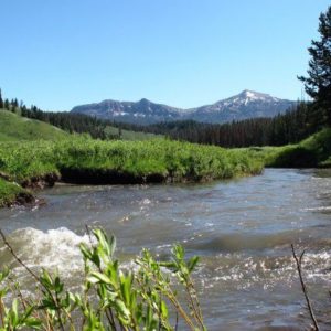 Public Lands Unite Us